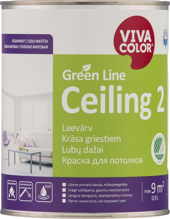 Laevärv Green Line Ceiling 2 sügavmatt 0,9 l