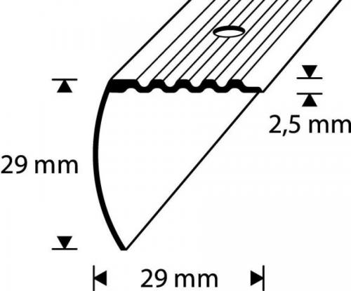 ASTMESERVALIIST D4-2.7M 29/29MM PRONKS DIONE