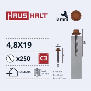 Isekeermestavad kruvid Haushalt DIN 7504K, 4.8x19 mm, 250 tk