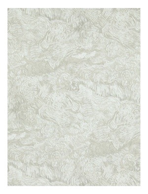 Tapeet BN Walls Van Gogh 17172, vinüül, pruun/valge