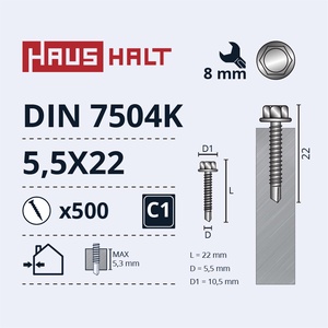 Isekeermestavad kruvid Haushalt DIN 7504K, 5.5x22 mm, 500 tk