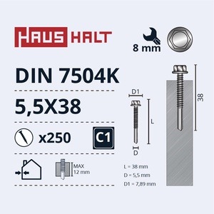 Isekeermestavad kruvid Haushalt DIN 7504K, 5.5x38 mm, 250 tk