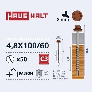 Isekeermestavad kruvid Haushalt DIN 7504K, 4.8x100 mm/60 mm, 50 tk