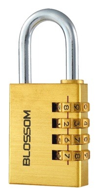 Lukk Blossom NL11, kuldne, 38 mm x 13 mm x 86 mm
