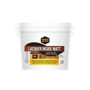 Lakk Master Team Lacquer Inside, 5 l