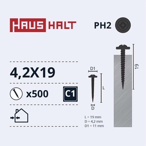 Isekeermestavad kruvid Haushalt DIN 14566, 4.2x19 mm, 500 tk