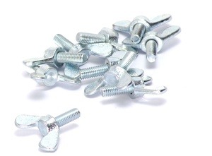 Kruvid DIN 316 Fxa, 10 mm x 20 mm, 2 tk