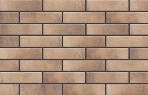 Plaadid, klinker Cerrad Brick 5901779371948, 245 mm x 65 mm