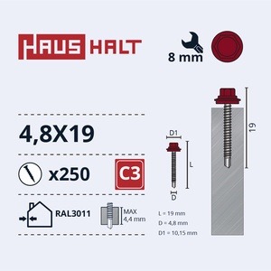 Isekeermestavad kruvid Haushalt DIN 7504K, 4.8x19 mm, 250 tk