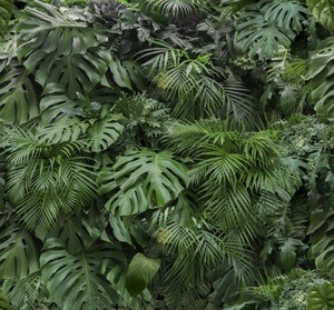 Fototapeet Art For The Home Rainforest 119594, 2800 mm x 3000 mm