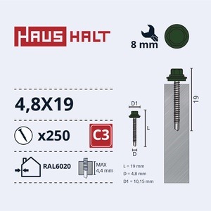 Isekeermestavad kruvid Haushalt DIN 7504K, 4.8x19 mm, 250 tk