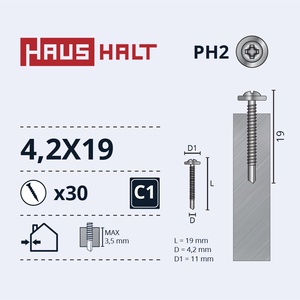 Isekeermestavad kruvid Haushalt DIN 14566, 4.2 mm x 19 mm, 30 tk