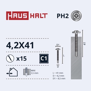 Isekeermestavad kruvid Haushalt, 4.2 mm x 41 mm, 15 tk