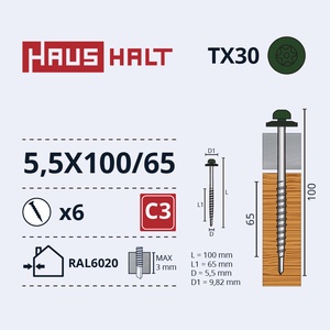 Isekeermestavad kruvid Haushalt, 5.5 mm x 100 mm, 6 tk